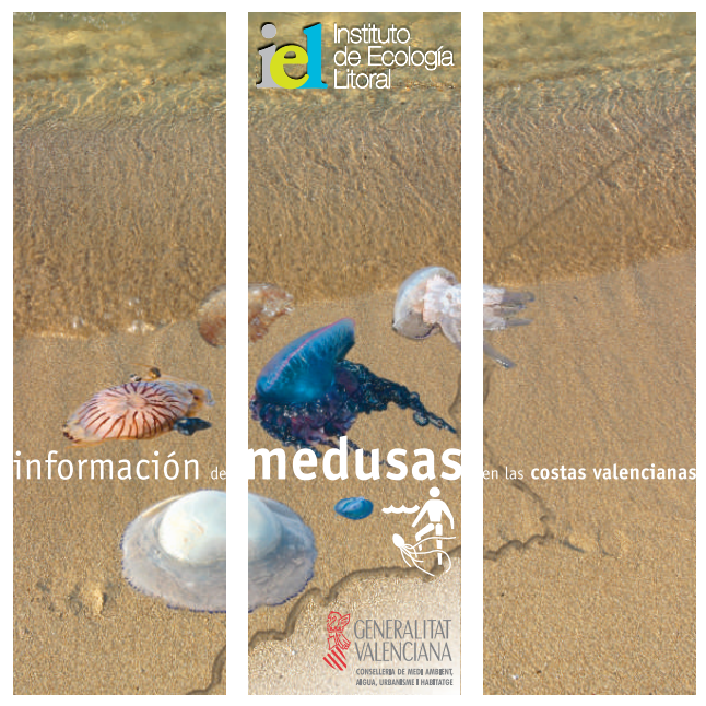 Información de medusas en las costas valencianas